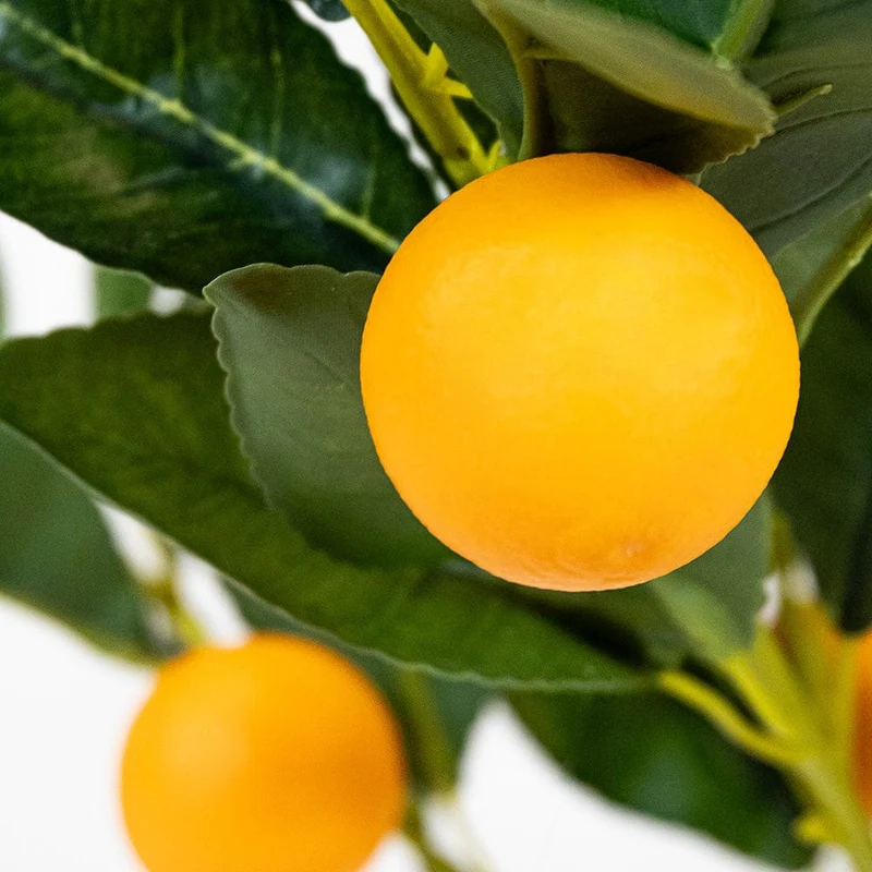 Orange Tree