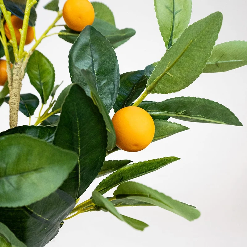 Orange Tree