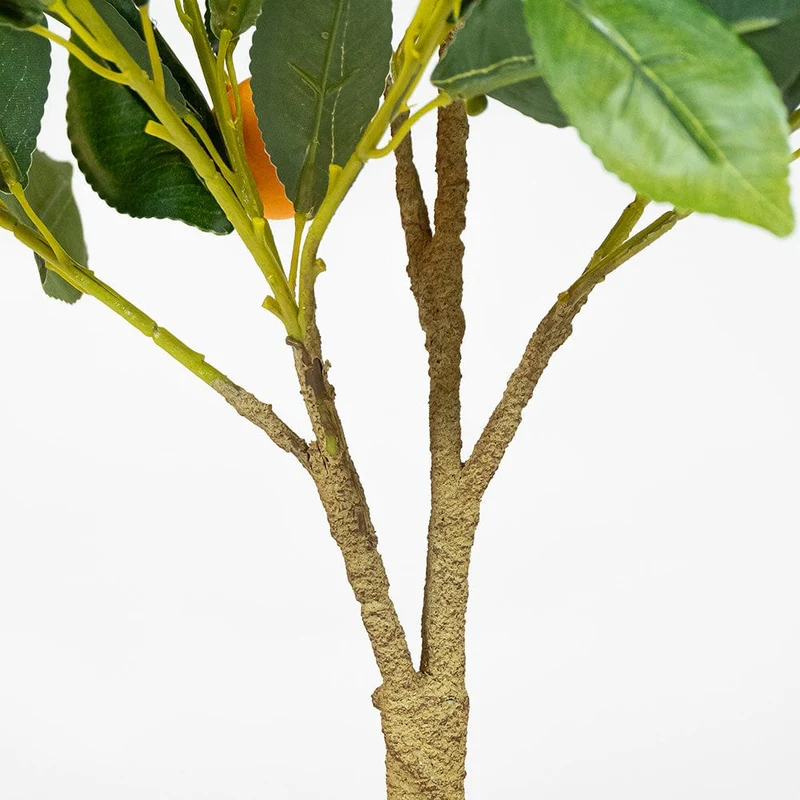 Orange Tree
