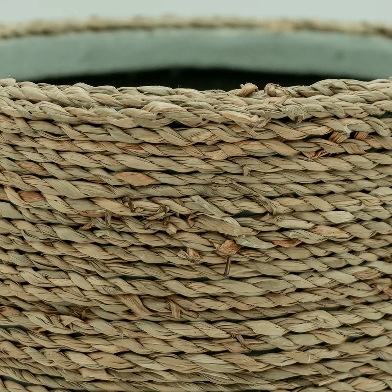 Cody Jute