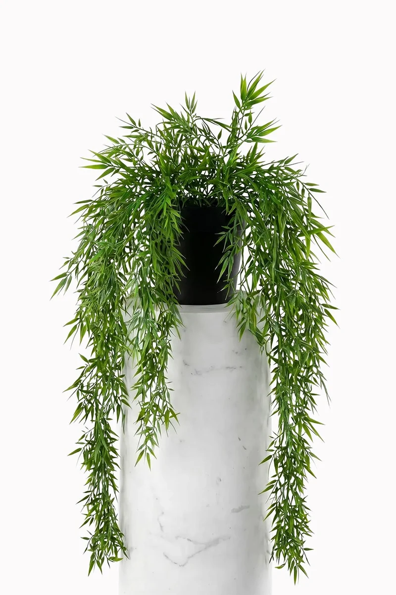Hanging Bamboo