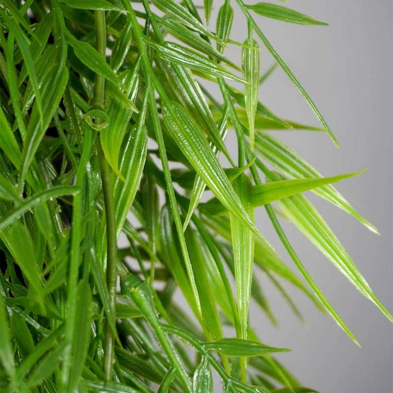 Hanging Bamboo