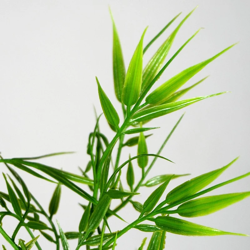Hanging Bamboo