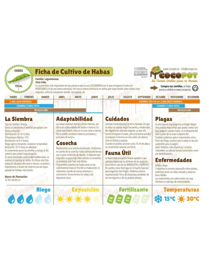 Semillas de Haba Aguadulce selec. acualonga 100 g Batlle