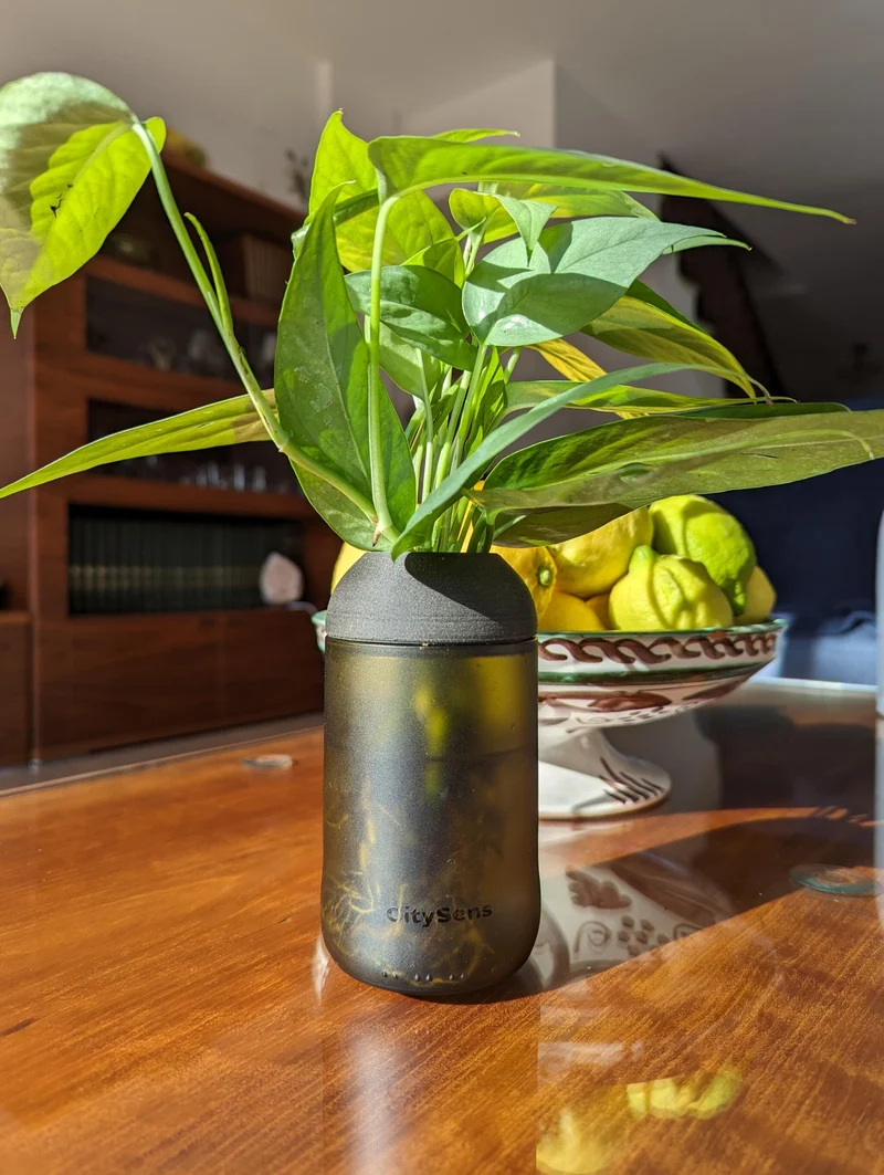 Macetero Transparente Citysens Con Planta Y Soporte De Ébano – Ámbar, Vidrio Reutilizado Y Biofilamento De Madera 3d