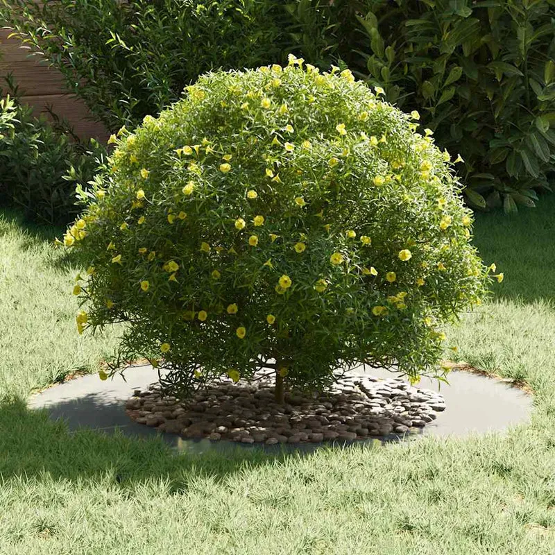 Adecuado Para Anillo De Árbol Plano Plateado Ø50/80 Cm
