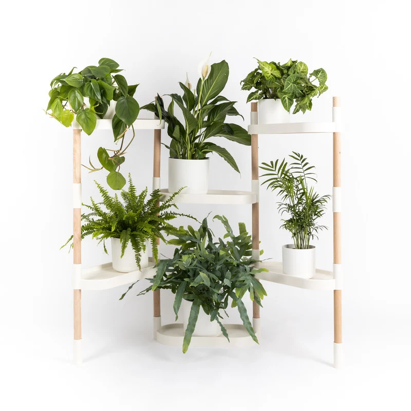 Soporte Modular Citysens De 6 Bandejas – Blanco, Polipropileno 100% Reciclado Y Madera Ecológica Pefc
