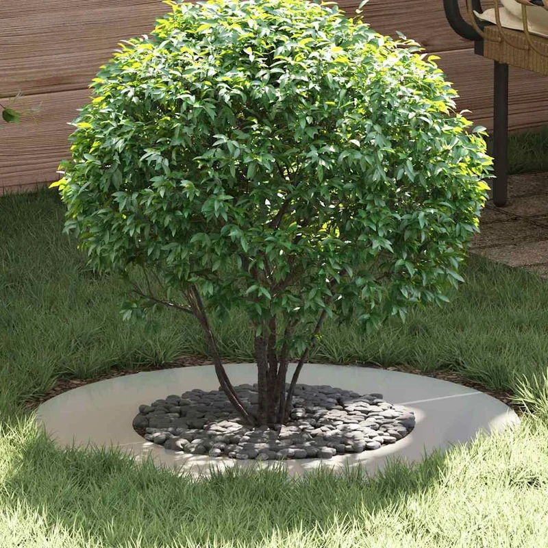 Adecuado Para Anillos De Árbol Plano 5 Uds. Plateado Ø40/70 Cm