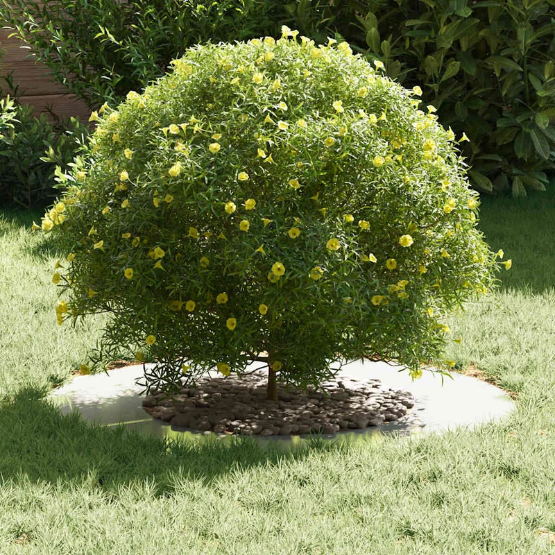 Adecuado Para Anillos De Árbol Plano 5 Uds. Plateado Ø40/70 Cm