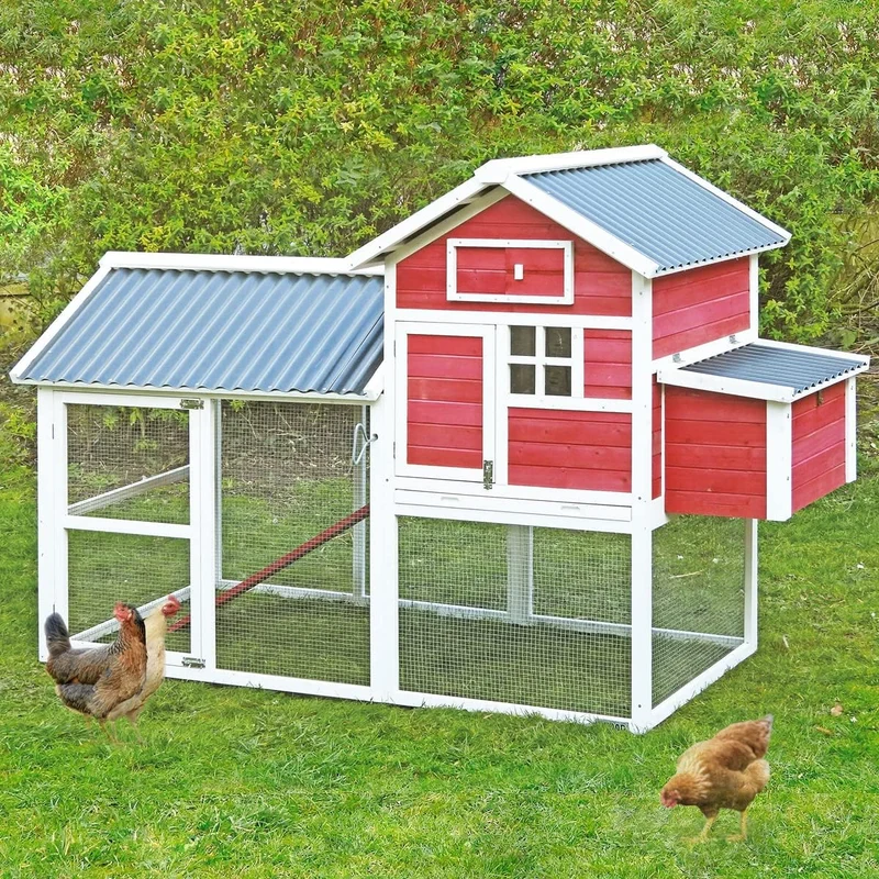 Gallinero House 2 - Capacidad Para 5-7 Gallinas