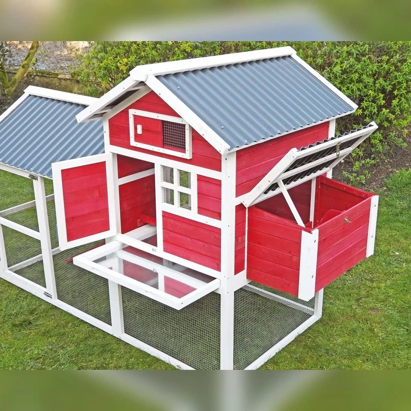 Gallinero House 2 - Capacidad Para 5-7 Gallinas