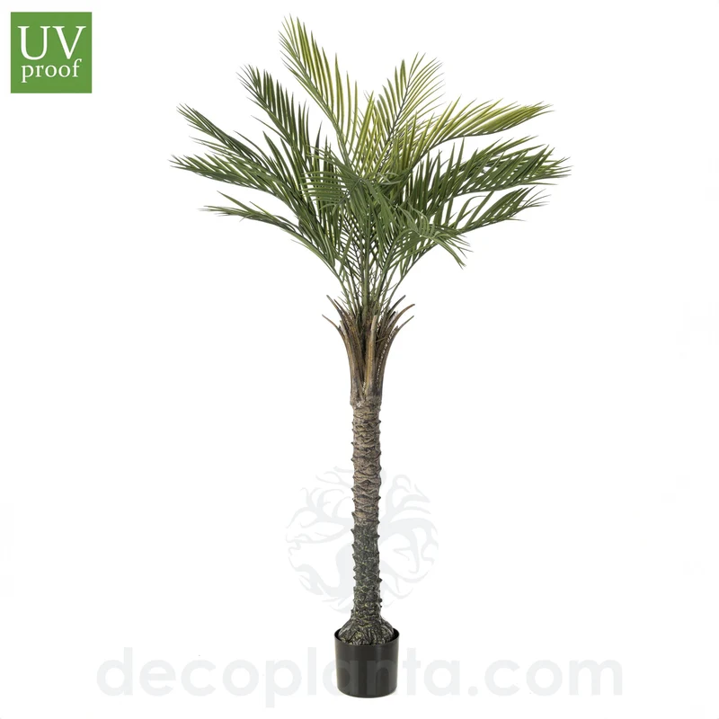Gran Palmera UV 180 cm