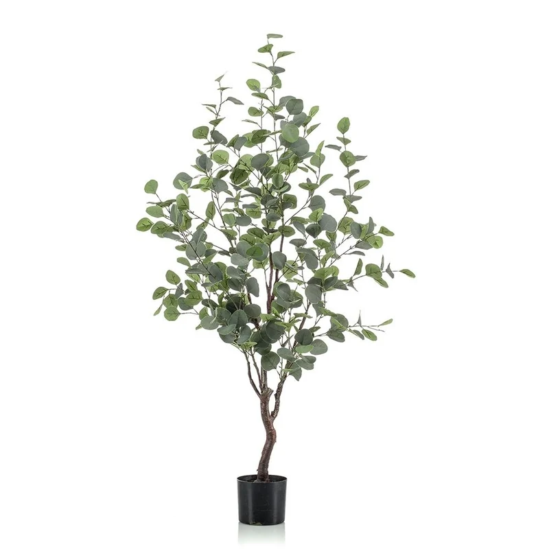 Árbol EUCALYPTUS. Alrura: 180 cm.