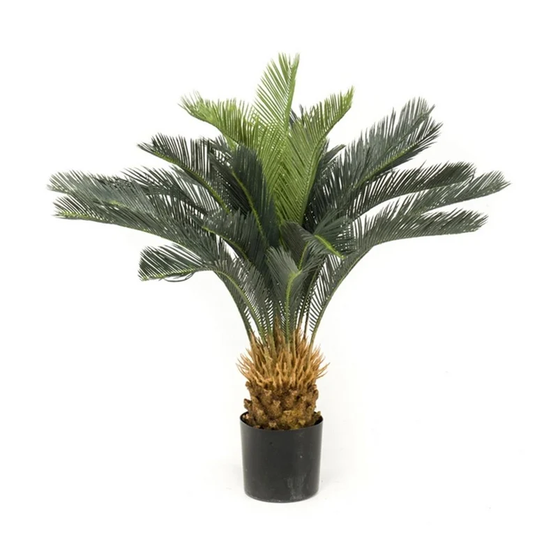 Árbol palmera CYCA BASIC Altura 95 cm 24 hojas