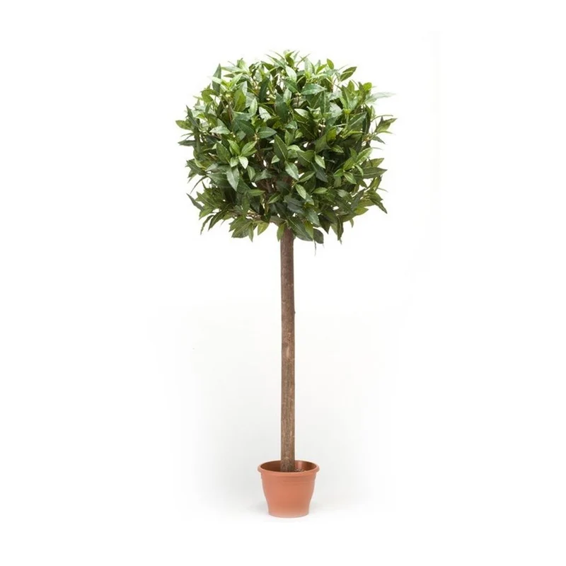 Árbol laurel ESFERA. Altura 155 cm y 1443 hojas con tronco natural.