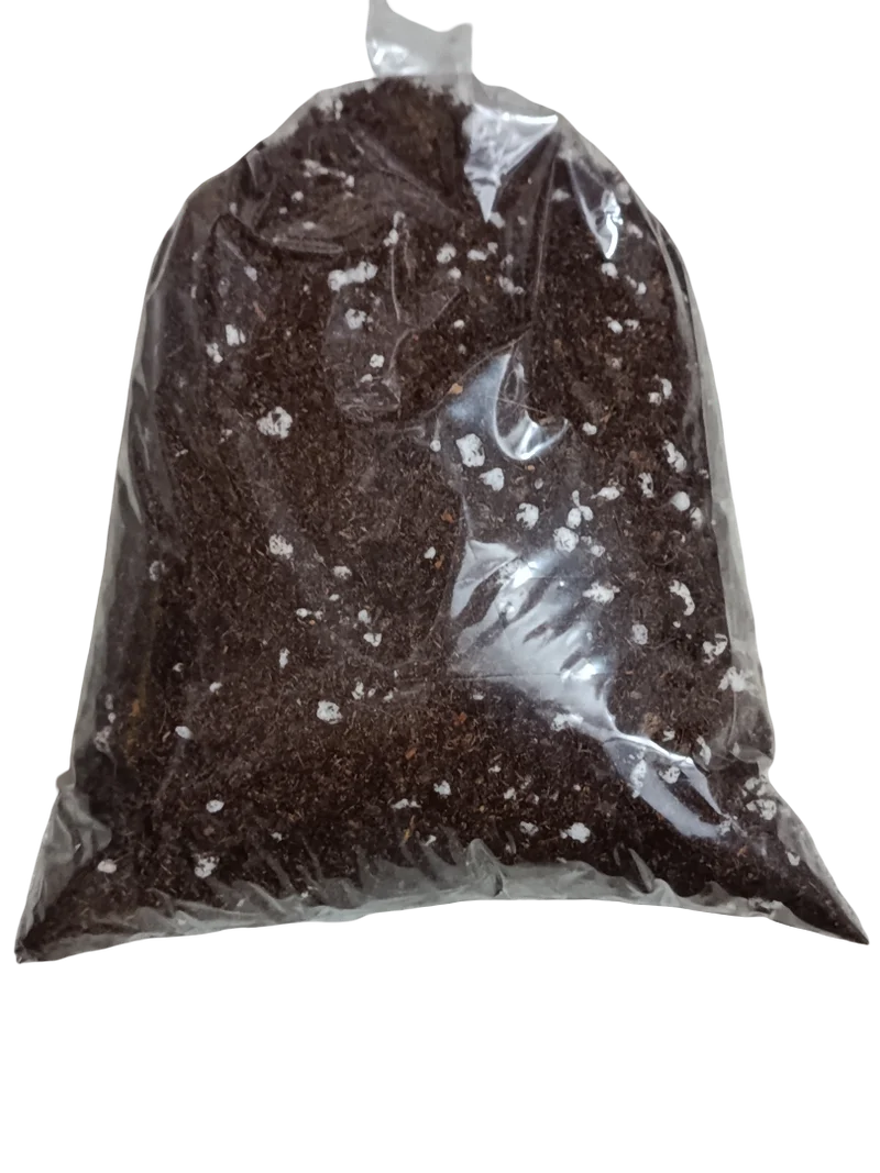 Sustrato Para Plantas Carnívoras 1l – Mezcla Especializada