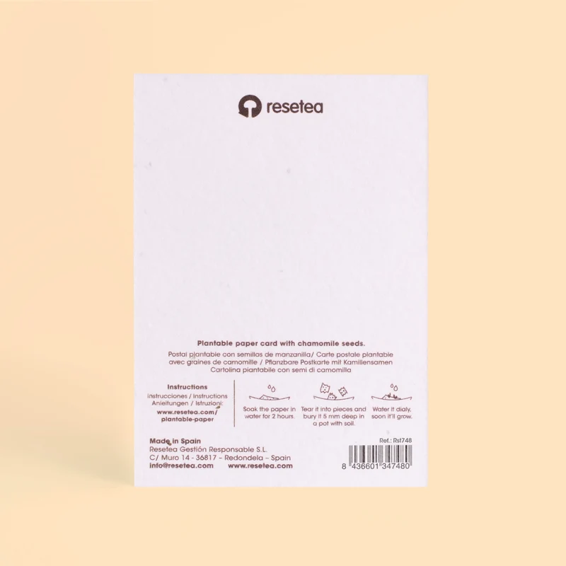 Postal Plantable Enjoy The Little Things Con Semillas De Manzanilla – Papel Reciclado - Resetea