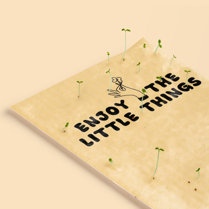 Postal Plantable Enjoy The Little Things Con Semillas De Manzanilla – Papel Reciclado - Resetea