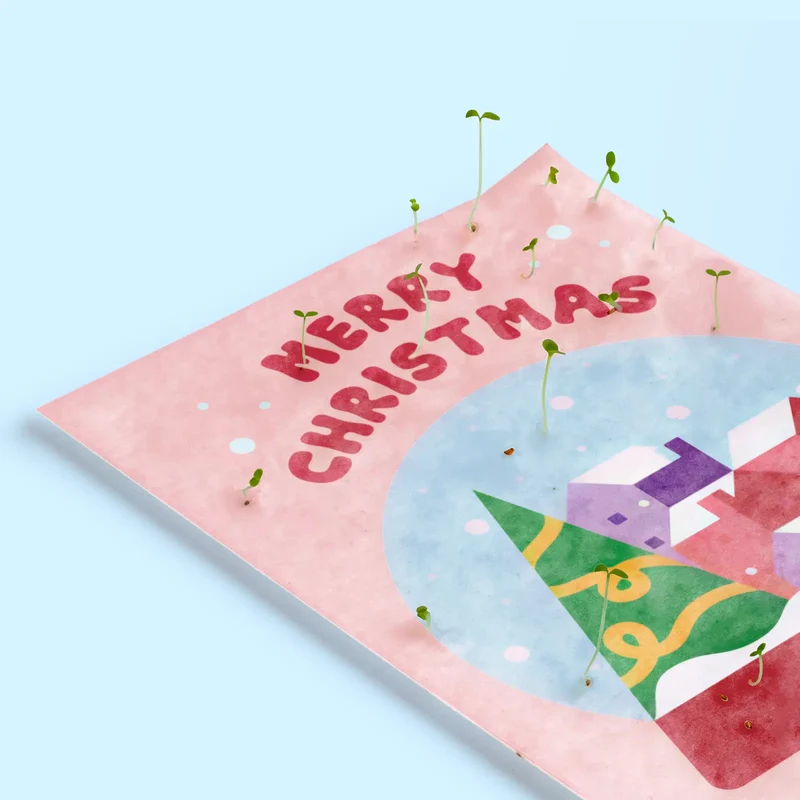 Postales Plantables Navidad Pack 5 Diseños – Snow Globe, Ho Ho Ho, Happy New Year, Snow Angels Y Elf - Resetea