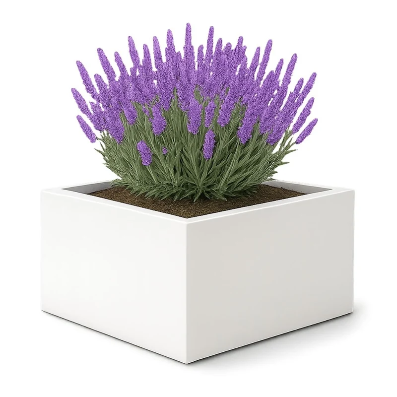 GARDRA Jardinière en polyester blanche pur 120x120x60 cm RAL 9010