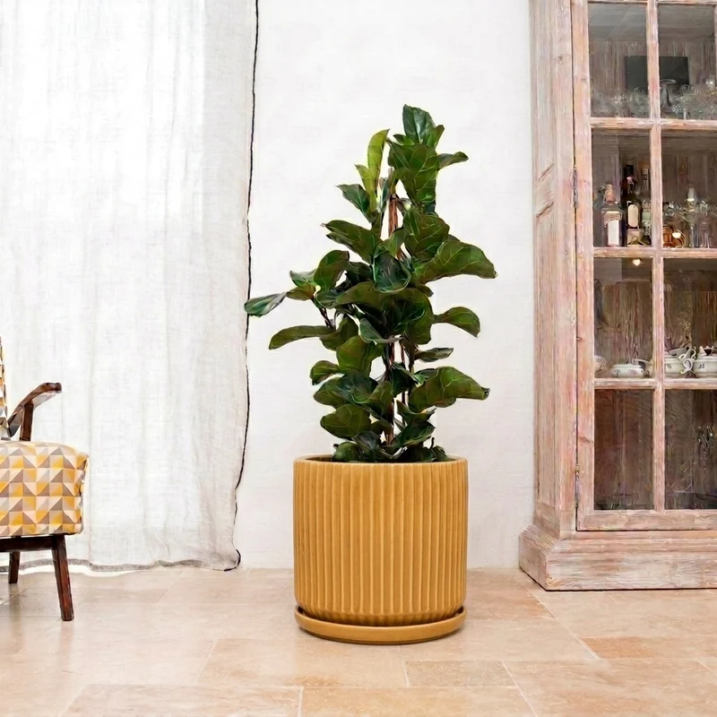 Soucoupe 28cm heliodore