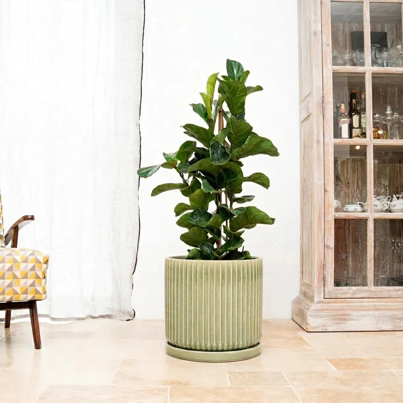 Soucoupe 28cm vert de gris
