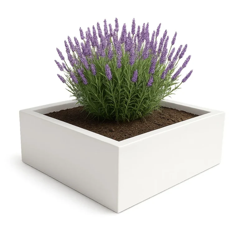 GARDRA Jardinière en polyester blanche pur 200x200x60 cm RAL 9010