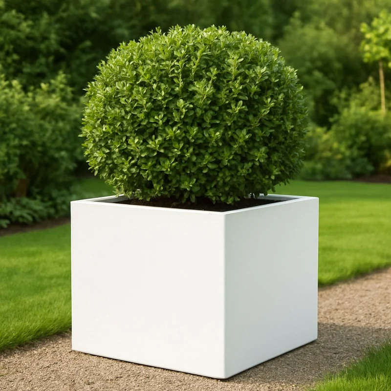 GARDRA Jardinière en polyester blanche pur 80x80x60 cm RAL 9010