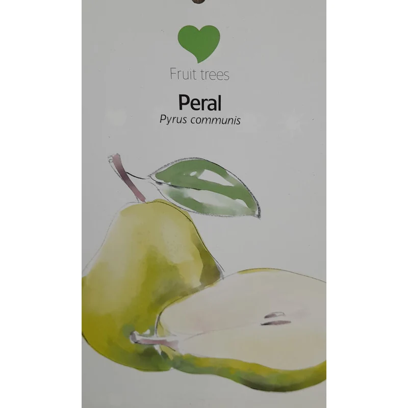 Peral Enano M26 120cm