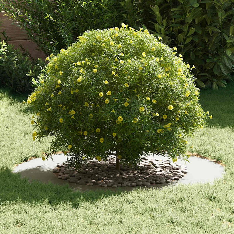 Adecuado Para Anillo De Árbol Plano Ø50/80 Cm Acero