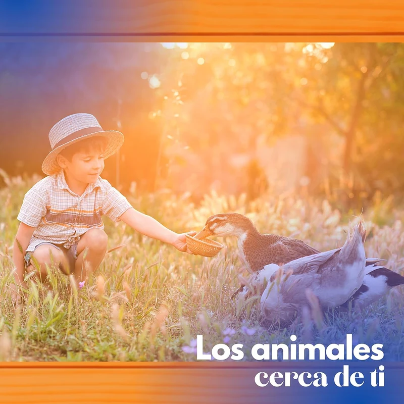 Caseta De Madera Para Patos - Nido Para Patos Pequeño
