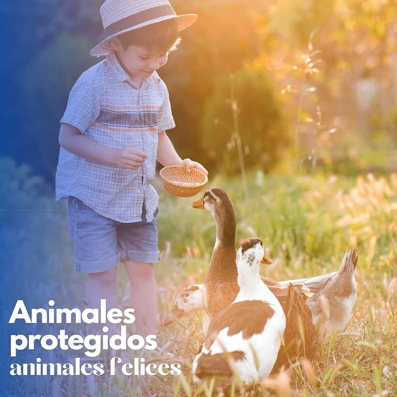 Caseta De Madera Para Patos - Nido Para Patos Pequeño