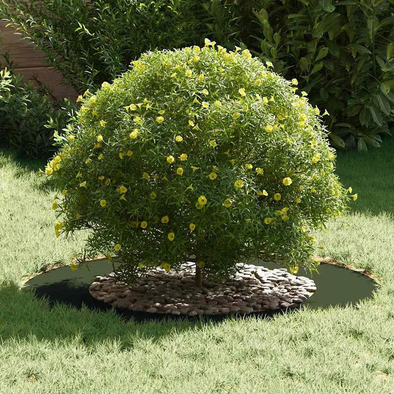 Adecuado Para Anillo De Árbol Plano Verde Oliva Ø50/80 Cm Acero