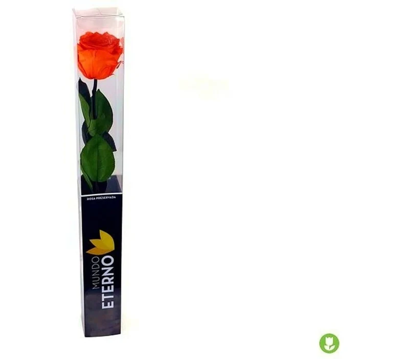 Mundo Eterno Rosa Preservada Naranja 25cm