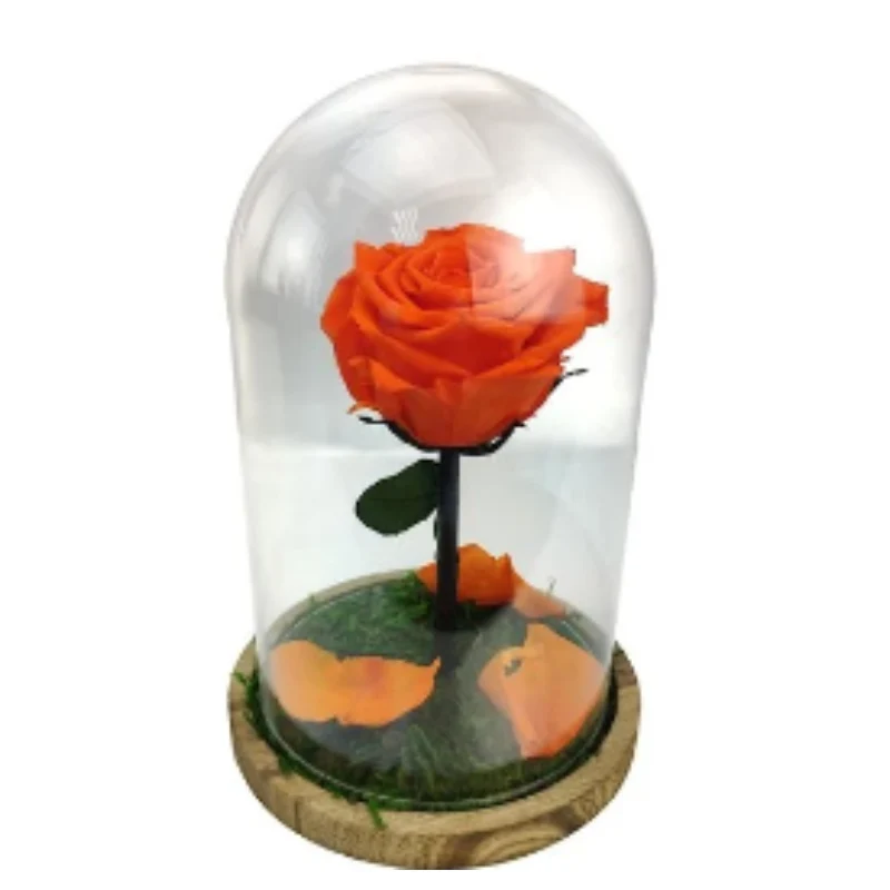 Mundo Eterno Rosa En Cúpula Naranja 12x20cm