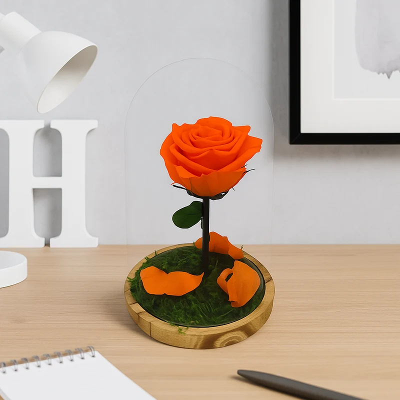Mundo Eterno Rosa En Cúpula Naranja 12x20cm