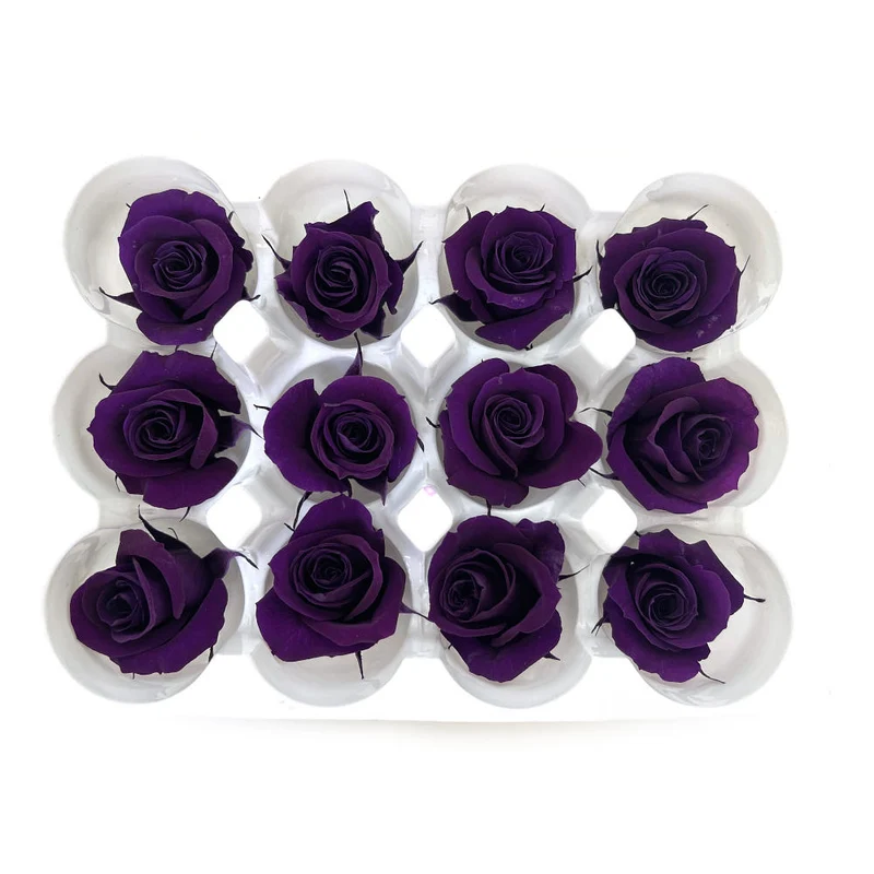 Mundo Eterno Rosas Preservadas Lila Oscuro 12 Unidades 4cm