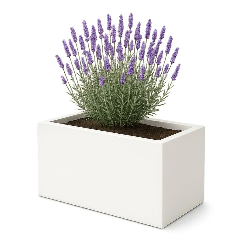 GARDRA Jardinière en polyester blanche pur 80x40x40 cm RAL 9010