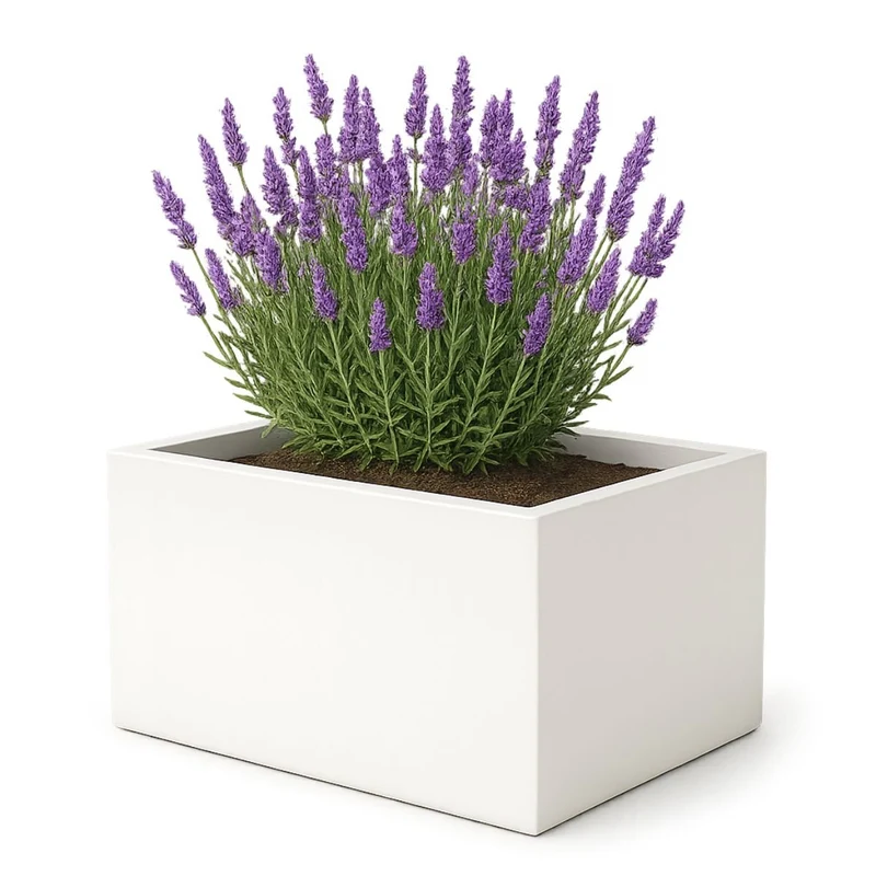 GARDRA Jardinière en polyester blanche pur 60x40x40 cm RAL 9010