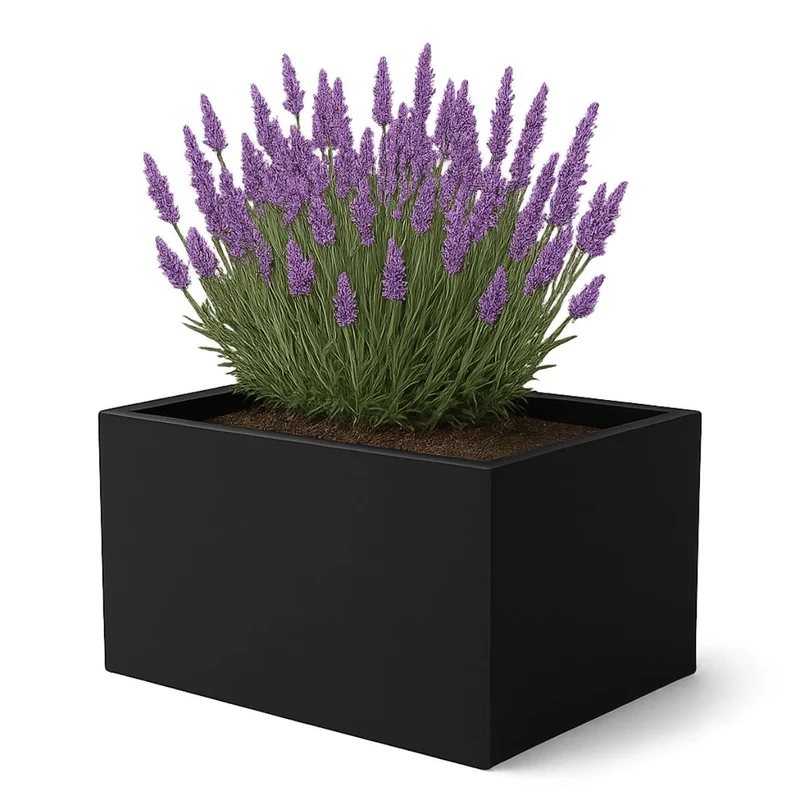GARDRA Jardinière en polyester noire de jais 60x40x40 cm RAL 9005