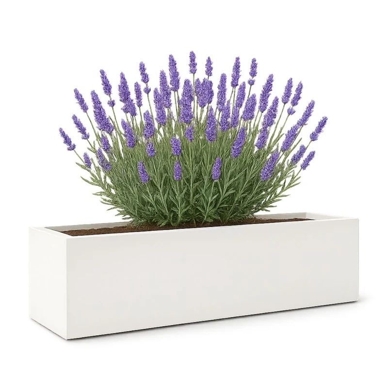 GARDRA Jardinière en polyester blanche pur 190x40x40 cm RAL 9010