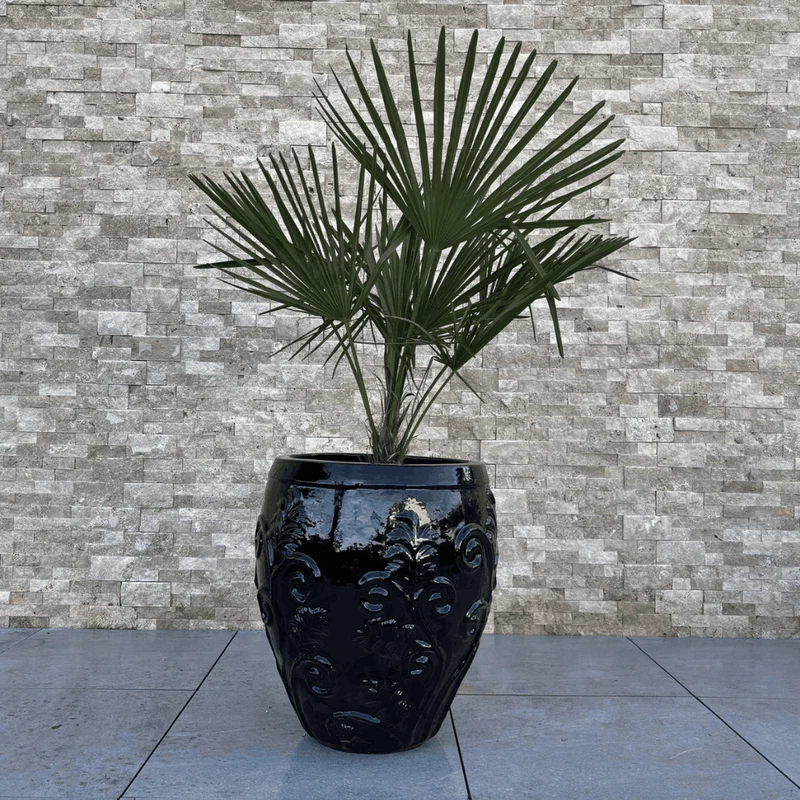 Pot GAIA 53x57cm noir