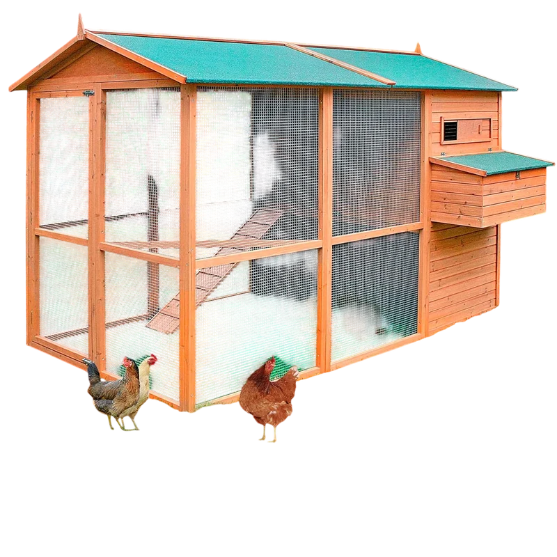 Gallinero Oslo Para 8-12 Gallinas - Gran Tamaño - Refugio Cubierto - Bandeja Extraíble - Incluye Perchas Y Ponedero
