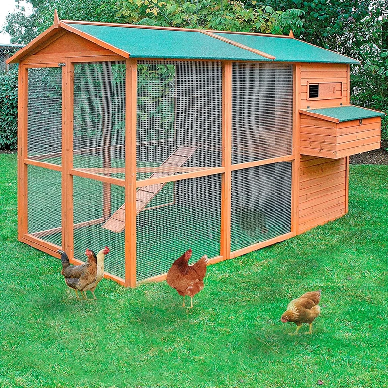 Gallinero Oslo Para 8-12 Gallinas - Gran Tamaño - Refugio Cubierto - Bandeja Extraíble - Incluye Perchas Y Ponedero