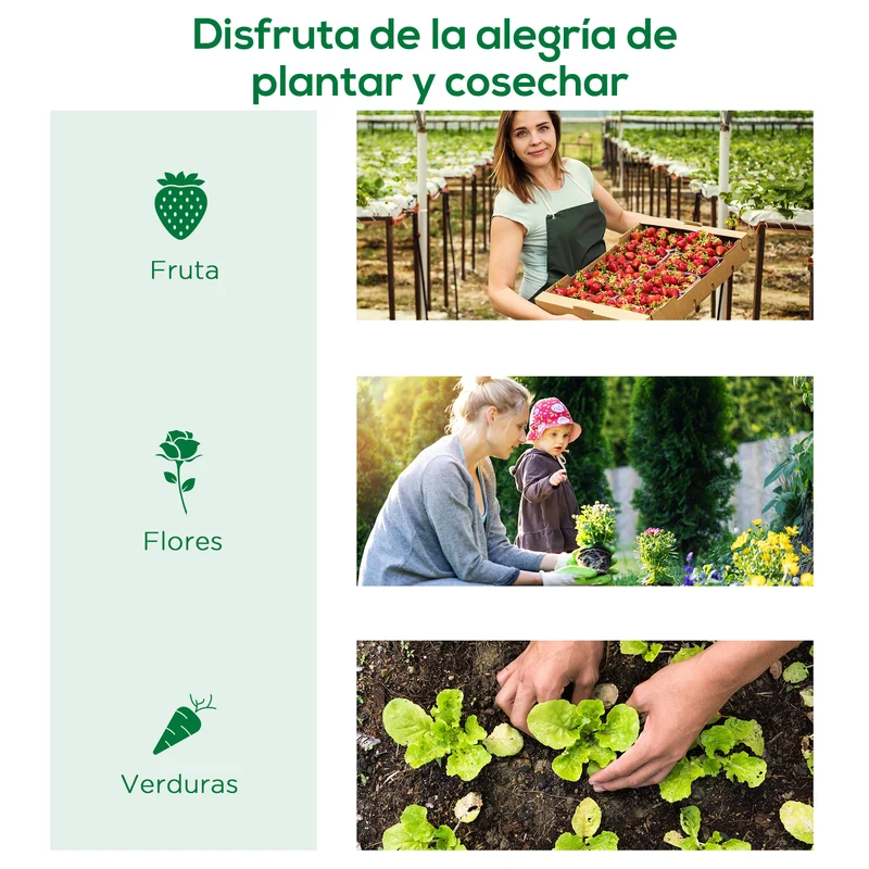 Outsunny Invernadero de Exterior, 200x80x45 cm, Invernadero de Jardín con 4 Ventanas Enrollables de Malla, Marco de Acero y Cubierta de PE 140g/㎡ Anti-UV para Cultivos, Plantas, Flores, Verde