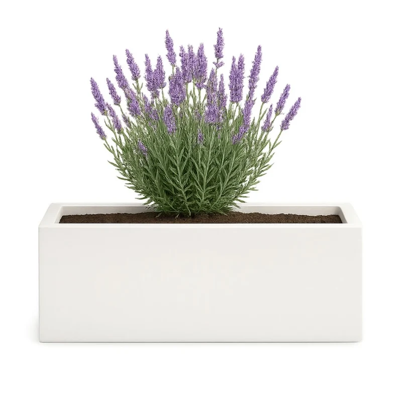 GARDRA Jardinière en polyester blanche pur 120x30x40 cm RAL 9010