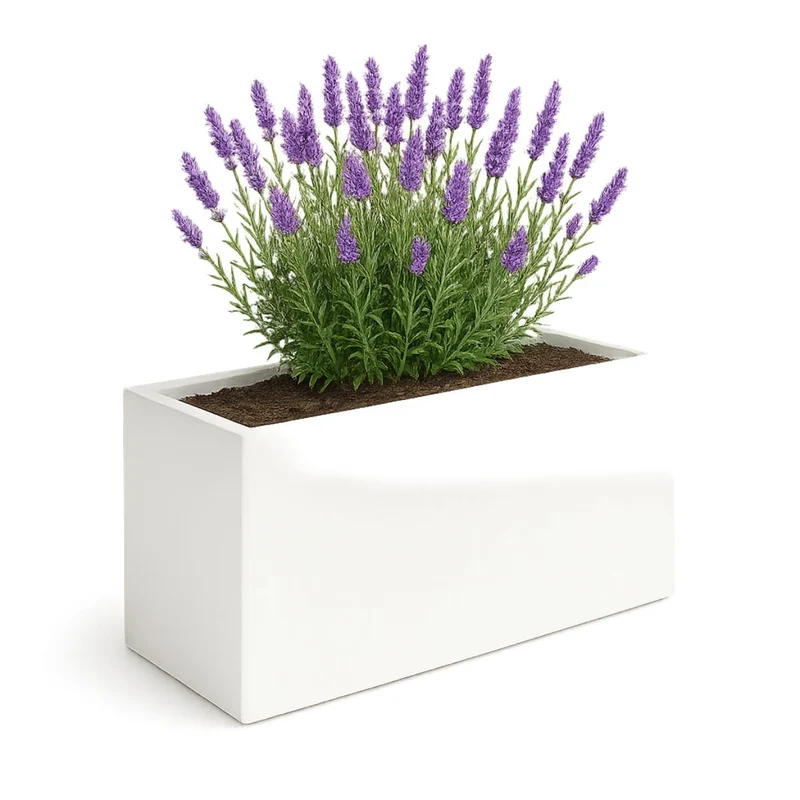GARDRA Jardinière en polyester blanche pur 120x30x60 cm RAL 9010