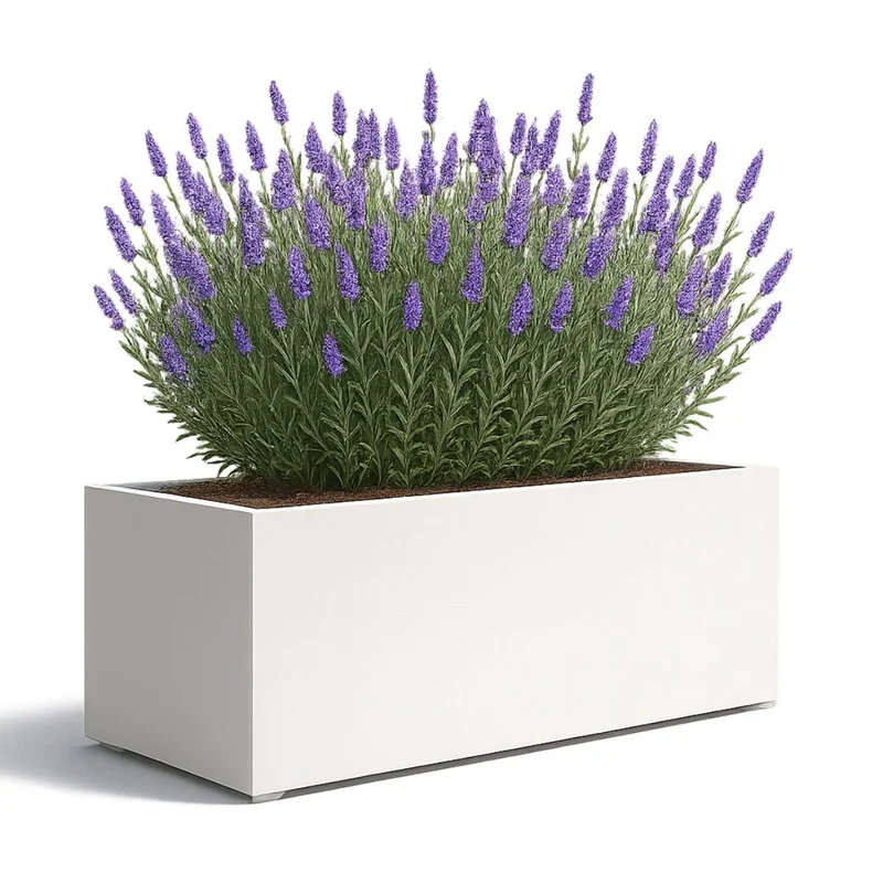 GARDRA Jardinière en polyester blanche pur 180x60x70 cm RAL 9010