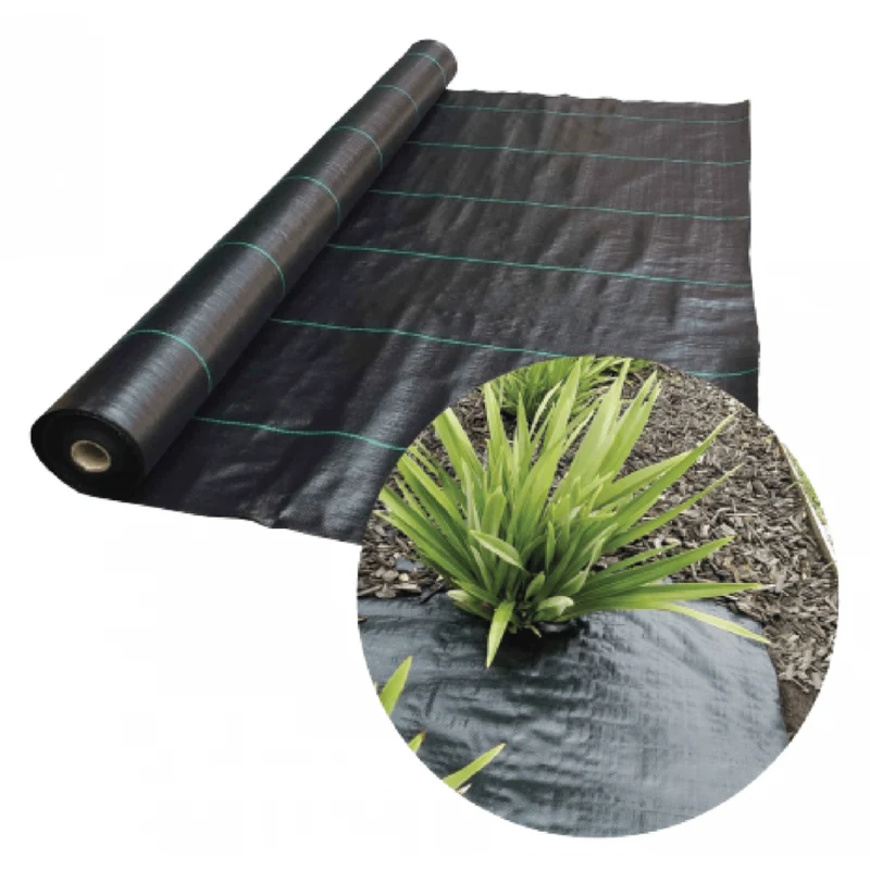 Practo Toile de paillage noire avec 100 g/m² 1000x210 cm