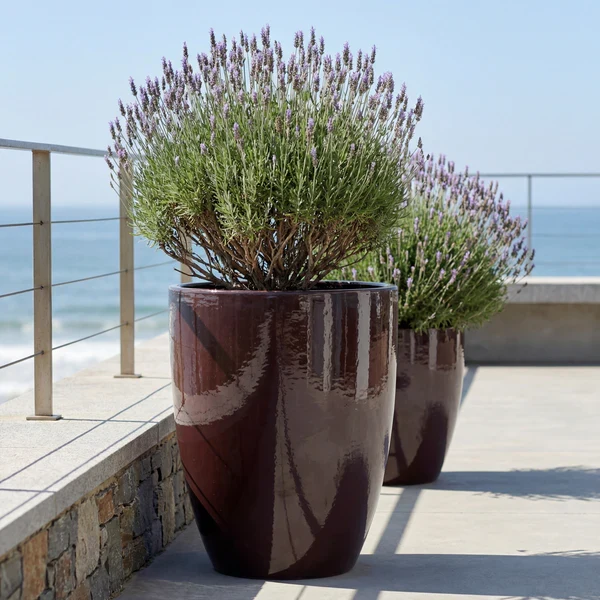 Pot MAZARIN2 45x60cm violet
